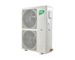 Ballu BLC_D-48HN1 21Y